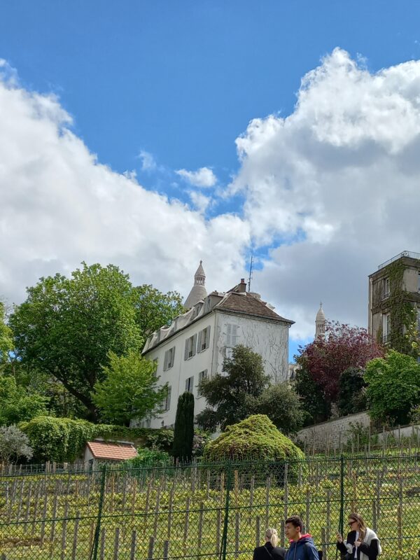 Private Tour of Montmartre - Image 11